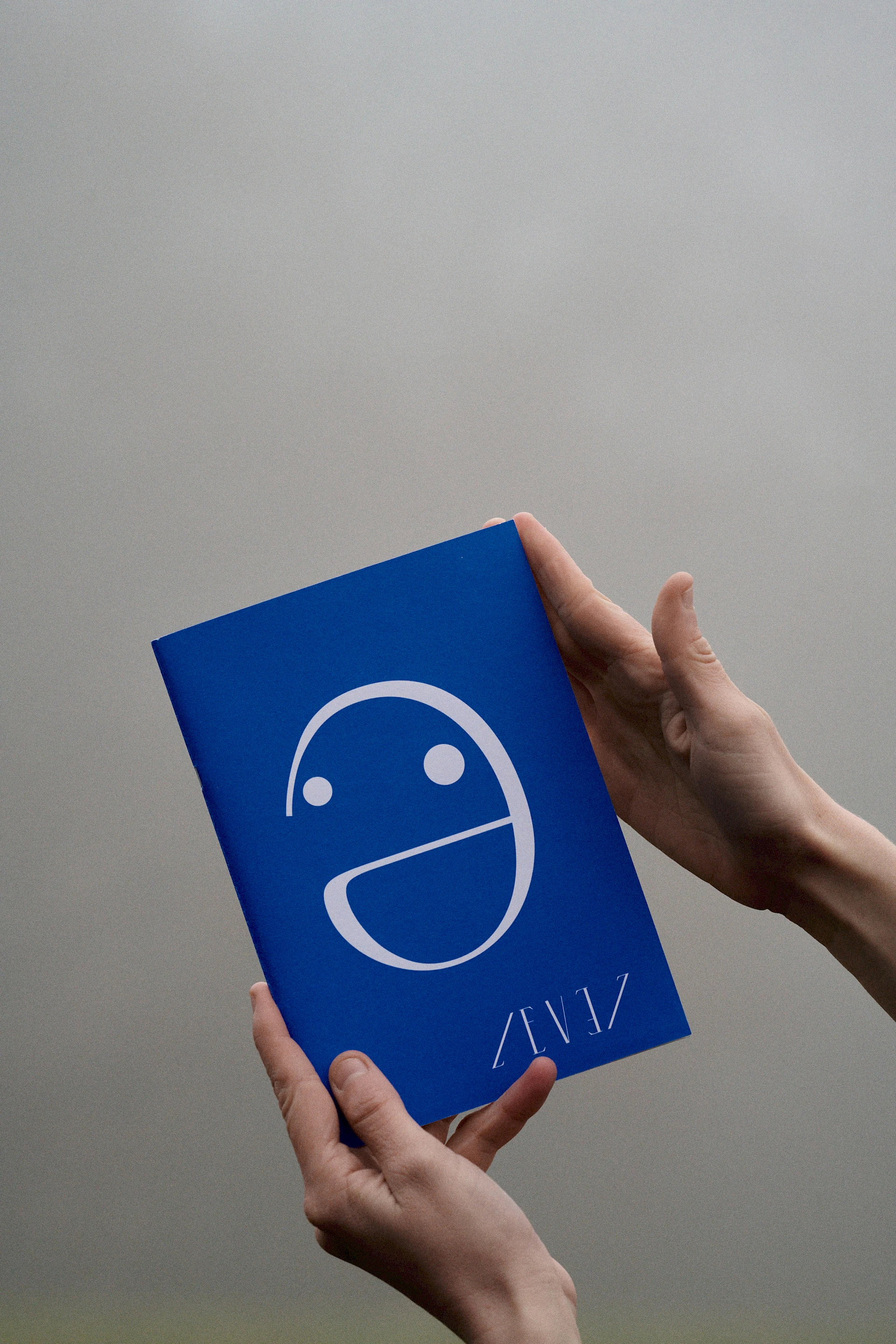 LEVEL – A reflective Journal